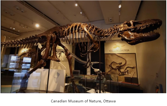 Canadian Museum of Nature, Ottawa